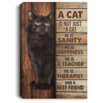 A Cat Is Not Just A Cat He Is Sanity Black Cat Framed Canvas Wall Art Portrait Canvas Black 8x12
