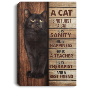 A Cat Is Not Just A Cat He Is Sanity Black Cat Framed Canvas Wall Art Portrait Canvas Black 8x12