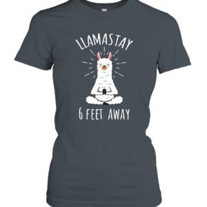 Llamastay 6 Feet Away Funny Llama Social Distancing Shirt Heavy Cotton Women's Short Sleeve T-Shirt Dark Heather S