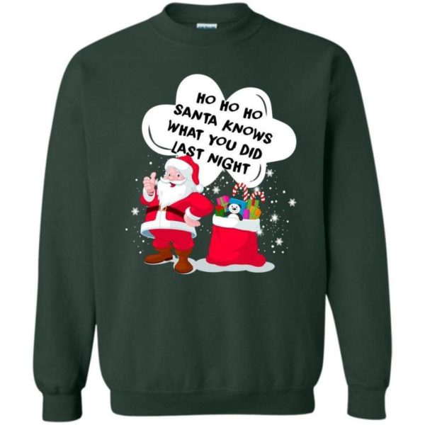 Ugly Santa Ho Ho Ho Santa Knows What You Did Last Night Christmas Sweatshirt Sweatshirt Forest Green S