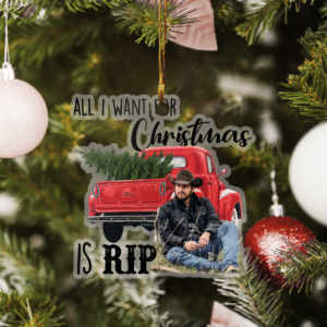 All I Want For Christmas Is Rip Custom Meca Ornament product photo 4