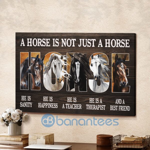 A Horse Is Not Just A Horse Wall Art Canvas Product Photo