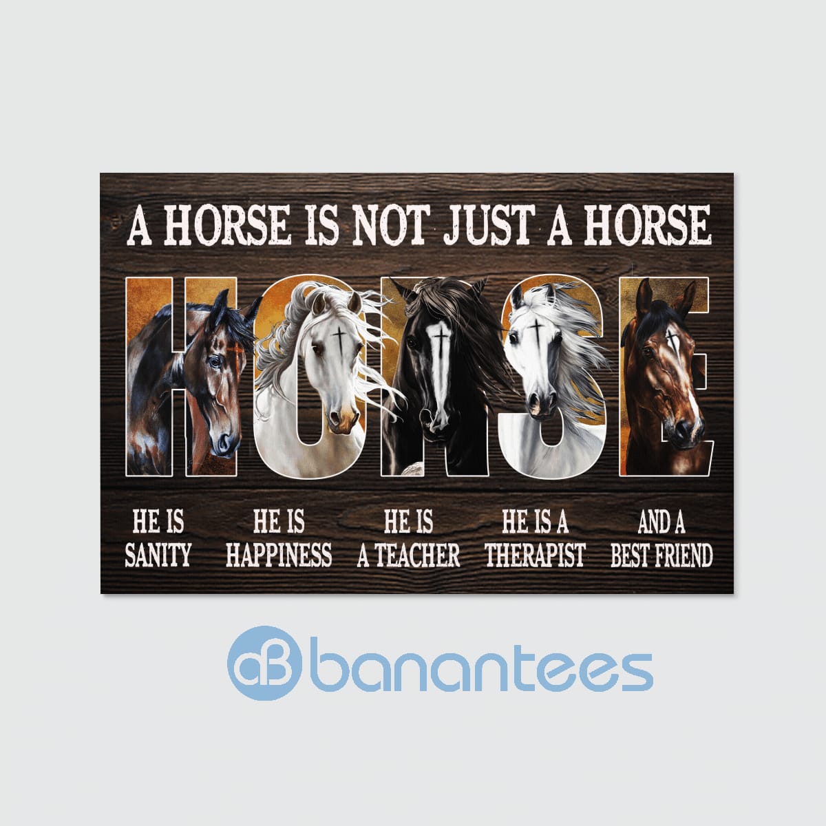 A Horse Is Not Just A Horse Wall Art Canvas Product photo 2