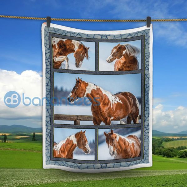 Beautiful American Paint Horse Sherpa Blanket Product Photo