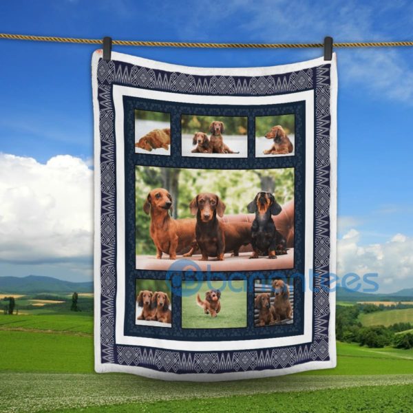 Cute Dachshund All Over Print Sherpa Blanket Product Photo