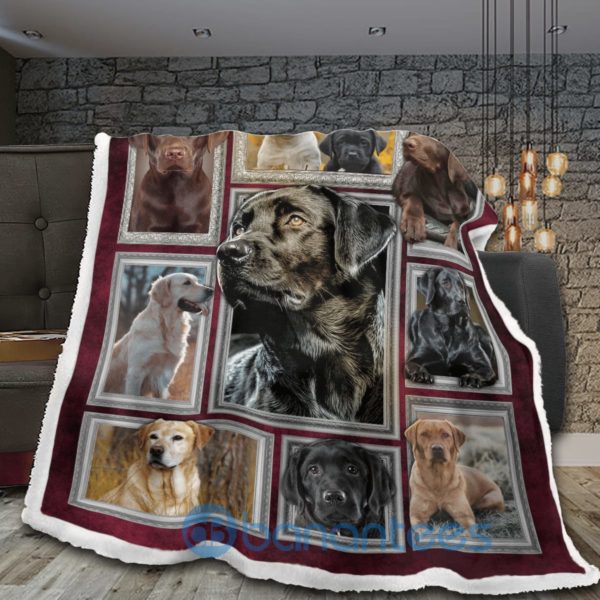Labrador Retriever Dog Design Sherpa Blanket Product Photo