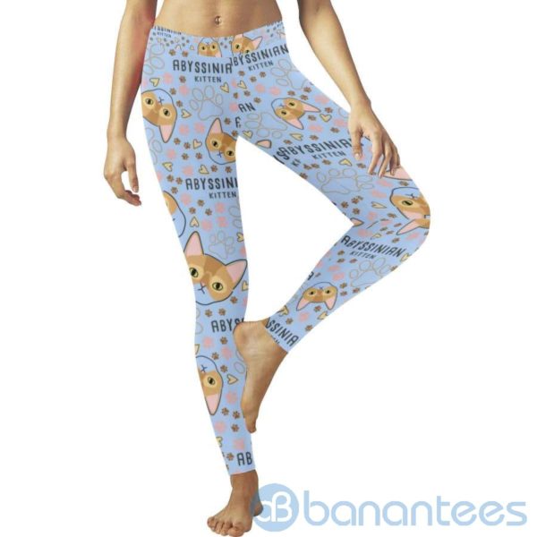 Abyssinian Cat Leggings For Women Product Photo