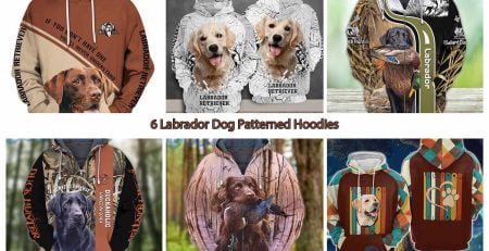 6 Labrador Dog Patterned Hoodies